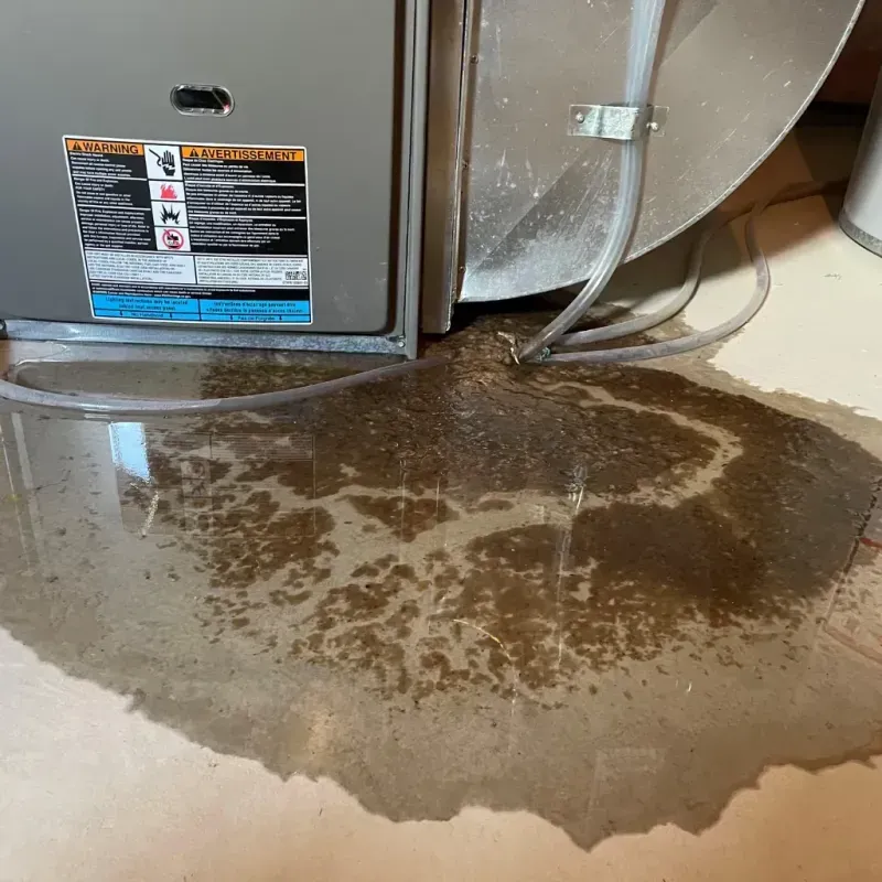 Appliance Leak Cleanup in Richville, OH